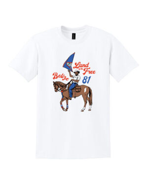 Patriotic Cowboy